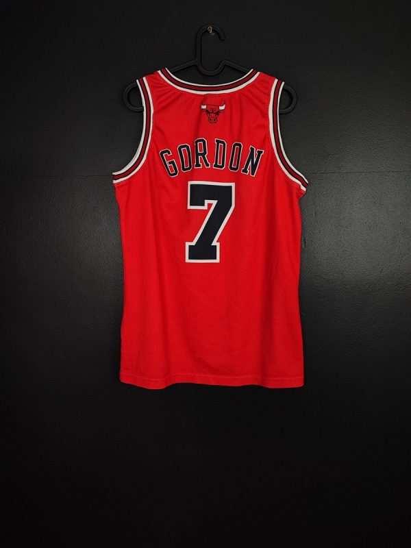 Koszulka Chicago Bulls 2004/09 Champion Ben Gordon #7 [M] NBA